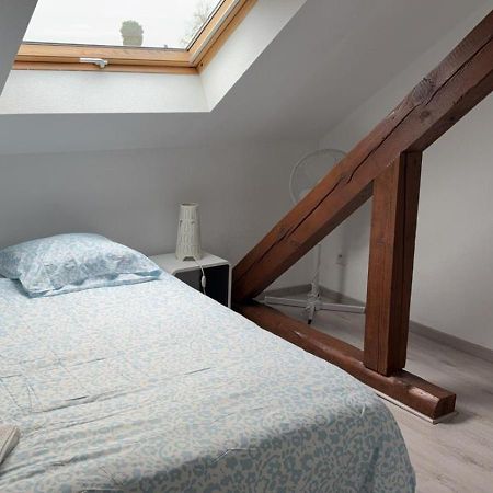 Appartamento Le Manoir De Cyrielle A 10 Min Du Centre De Strasbourg Bischheim Esterno foto